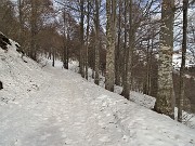 46 Qui neve battuta, si cammina meglio !